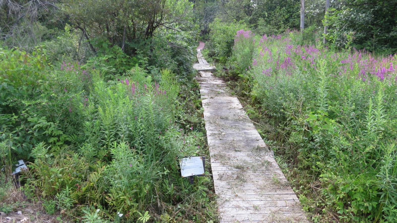 #52 photo, 111 Pike St, Broadalbin , NY 12025