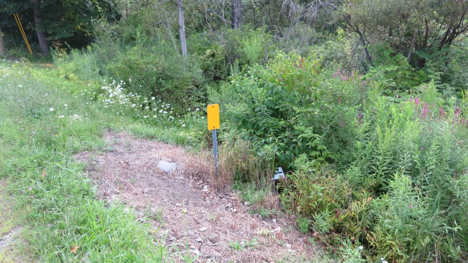 #53 photo, 111 Pike St, Broadalbin , NY 12025