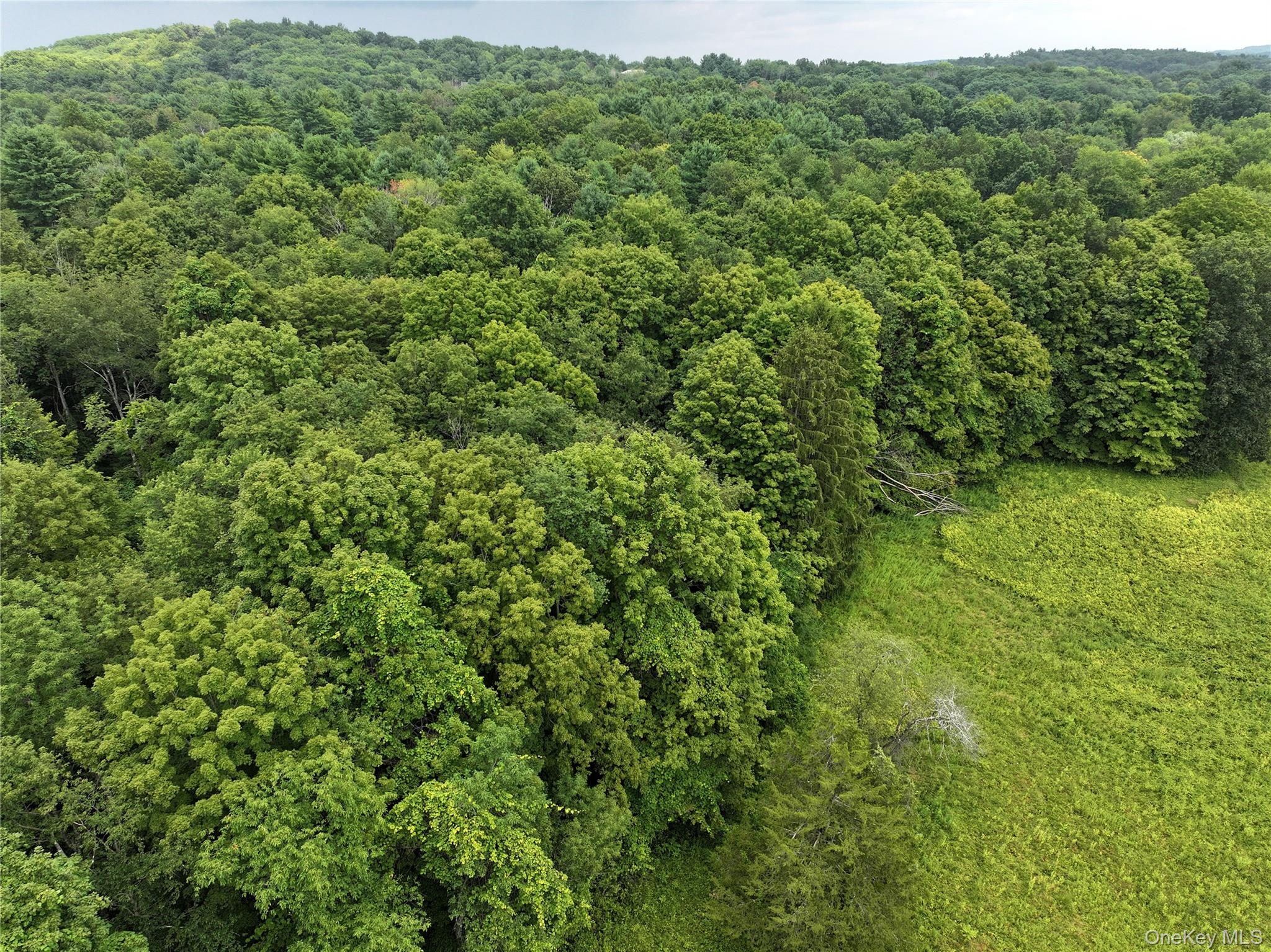 #13 photo, TBD Deer Run Road, Red Hook , NY 12571