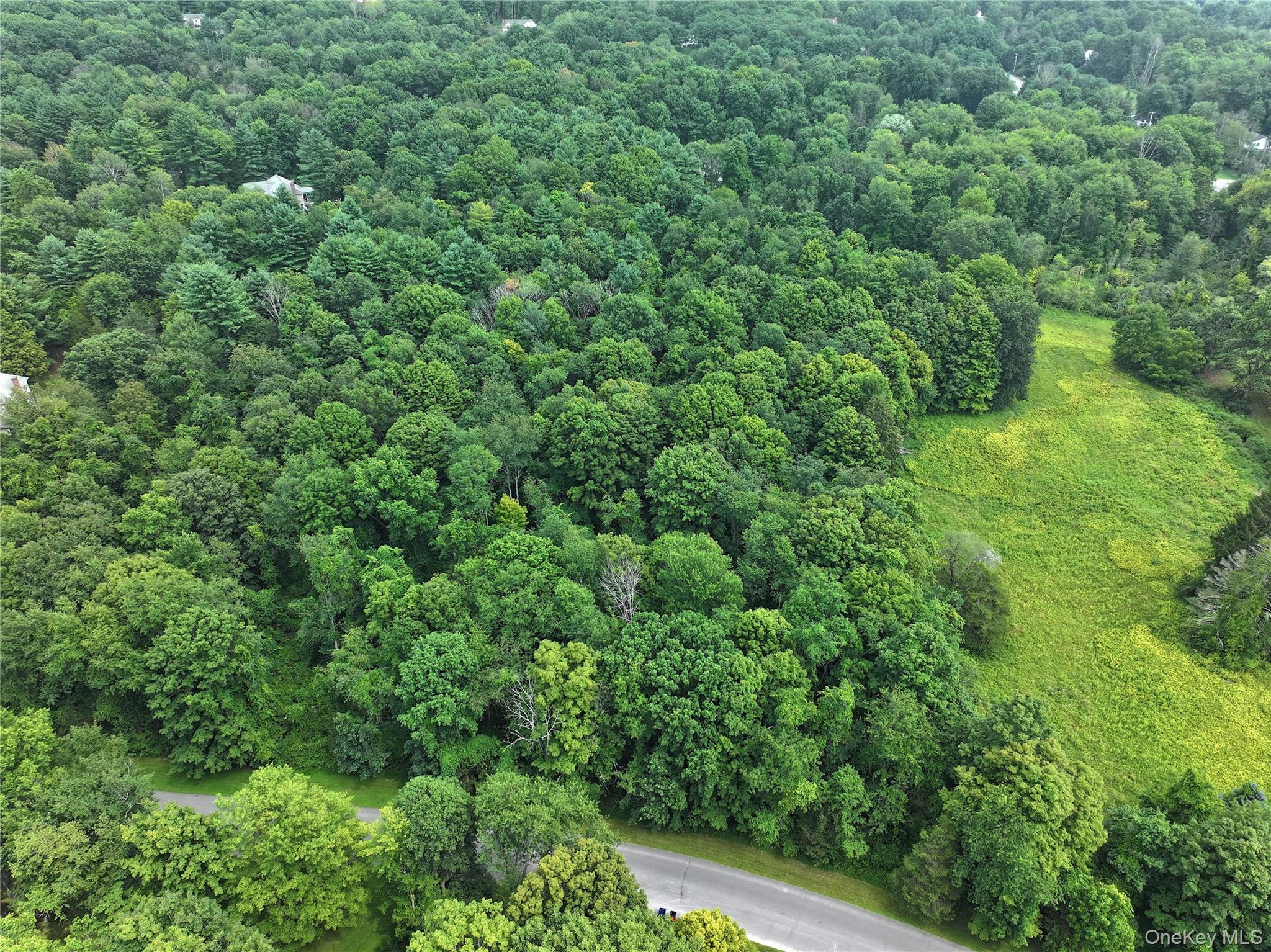 #2 photo, TBD Deer Run Road, Red Hook , NY 12571