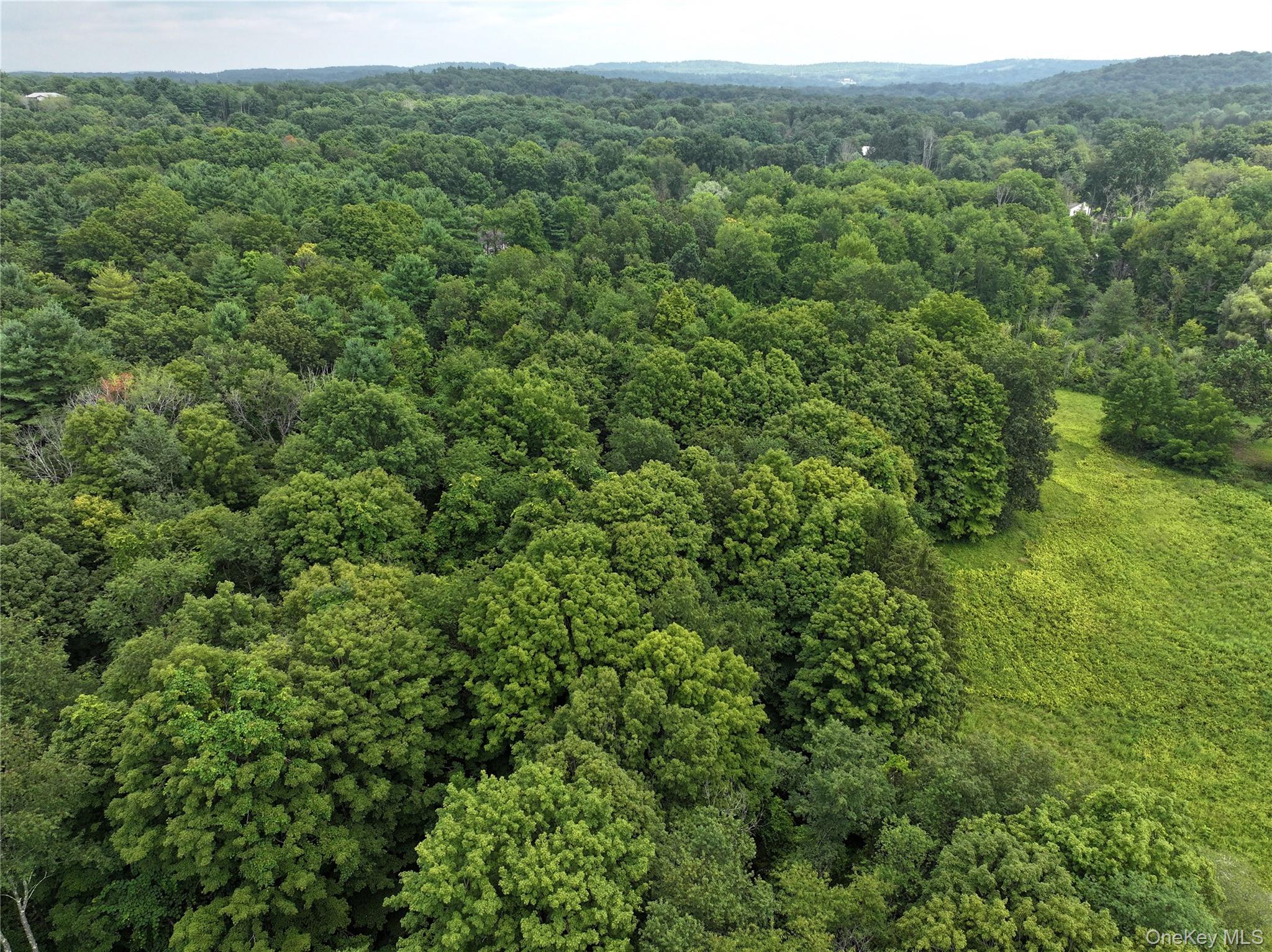 #7 photo, TBD Deer Run Road, Red Hook , NY 12571