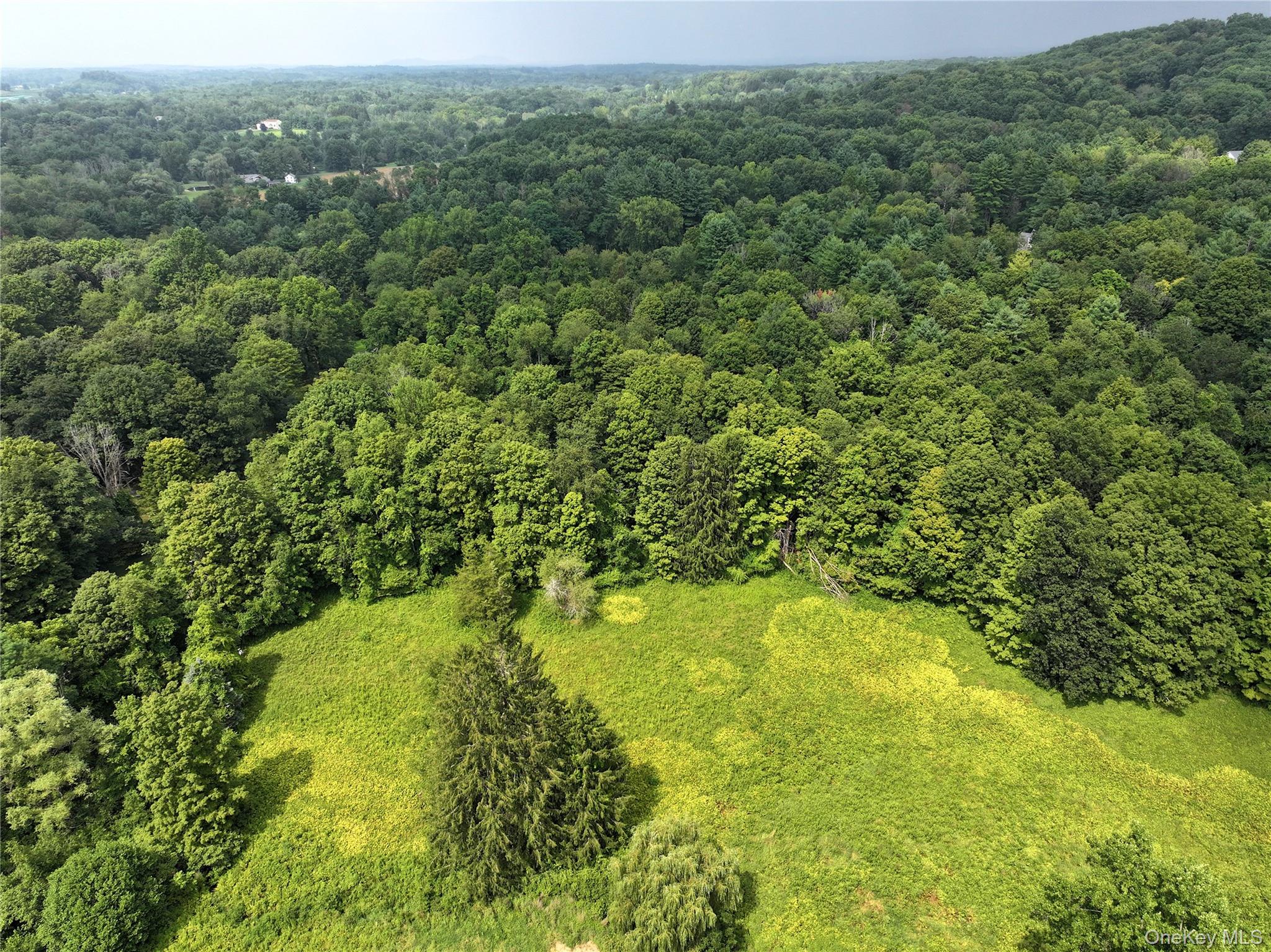 #8 photo, TBD Deer Run Road, Red Hook , NY 12571