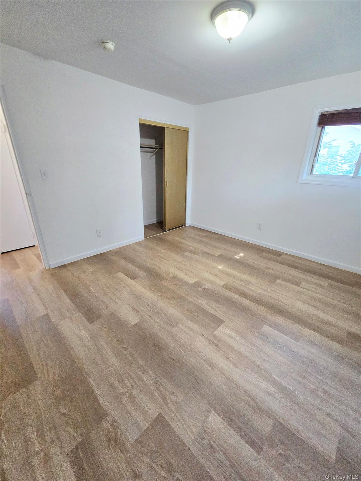 #11 photo, 118 Wright Avenue, サフォーク郡 Deer Park , NY 11729