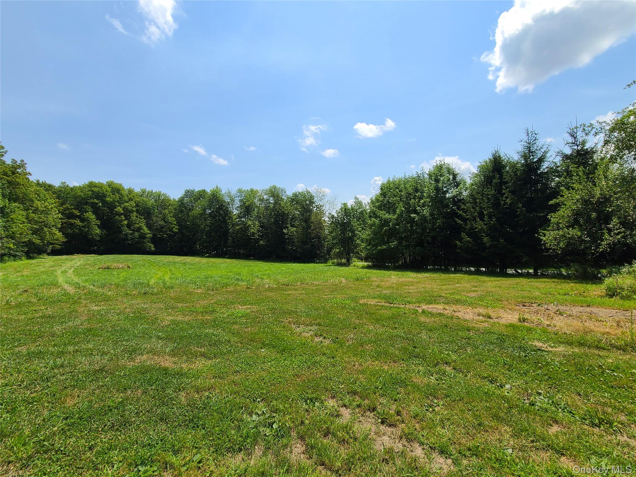 #6 photo, Stump Pond Road, Livingston Manor , NY 12758