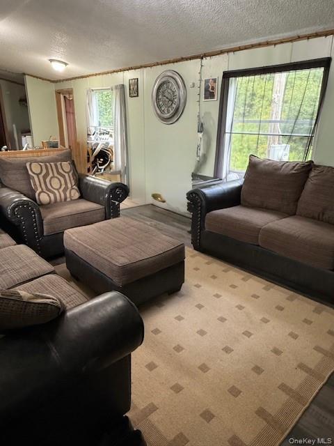 #15 photo, 811 Briscoe, Liberty , NY 12783