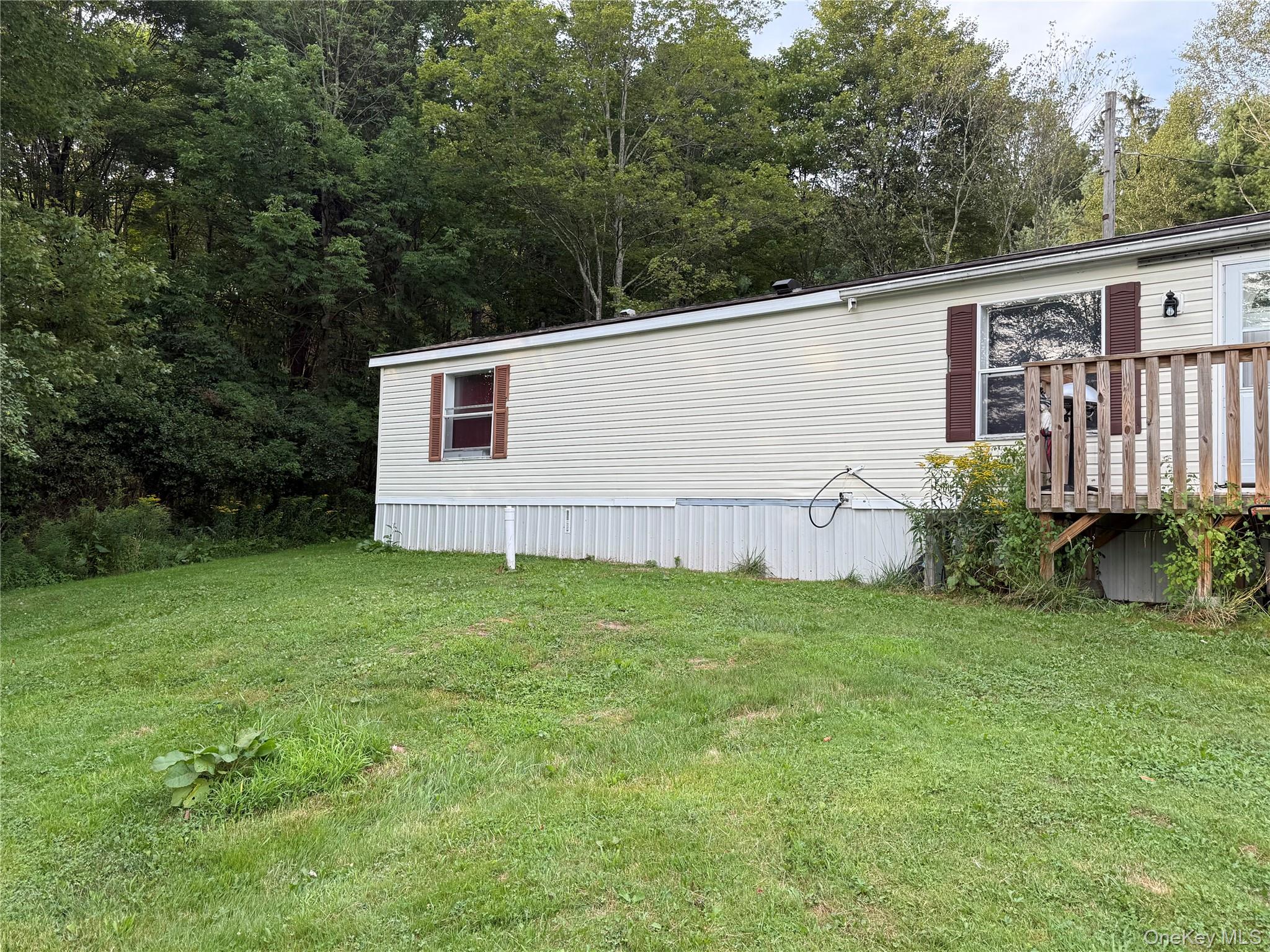 #2 photo, 811 Briscoe, Liberty , NY 12783
