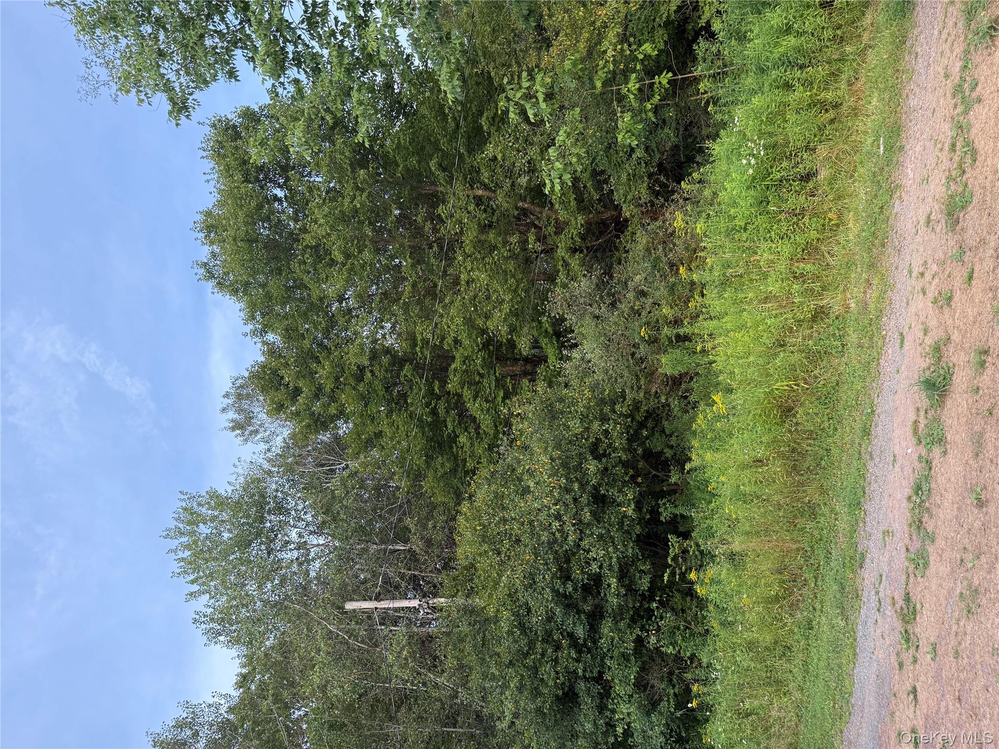 #3 photo, 811 Briscoe, Liberty , NY 12783