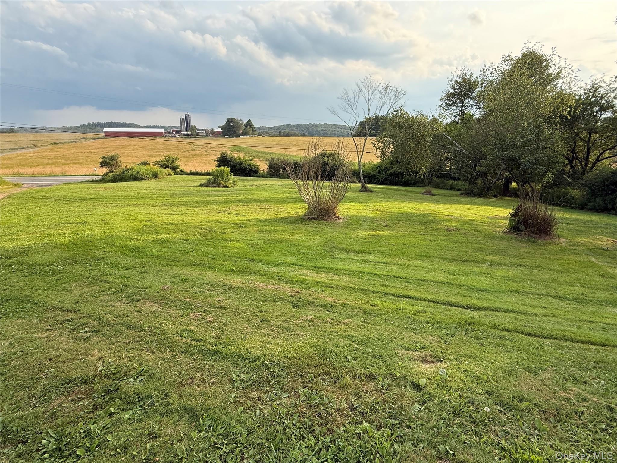 #4 photo, 811 Briscoe, Liberty , NY 12783