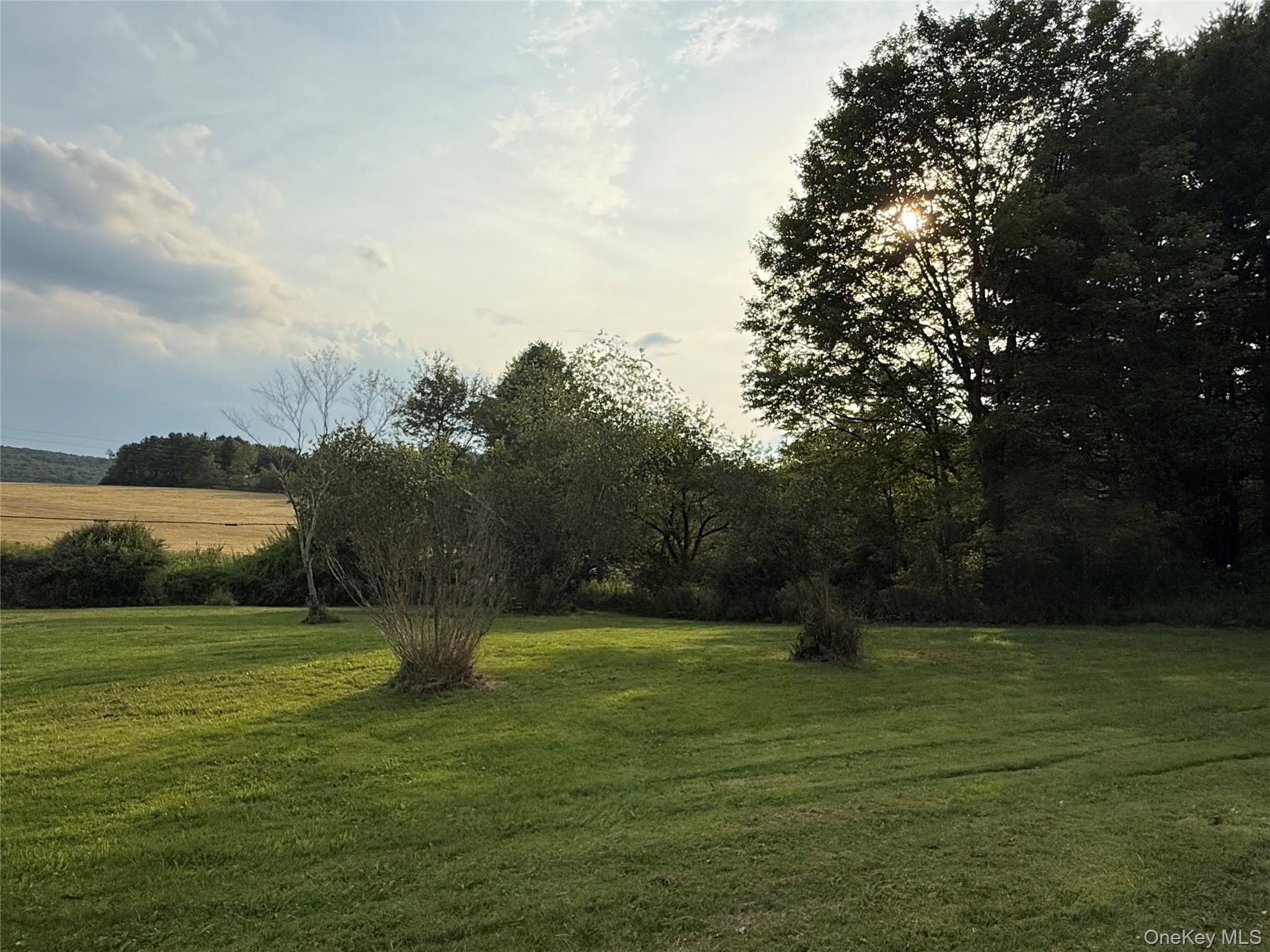 #5 photo, 811 Briscoe, Liberty , NY 12783