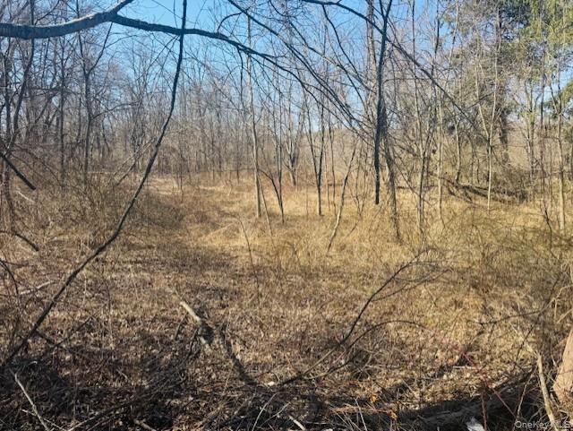 #5 photo, cramer Road, Poughkeepsie , NY 12603