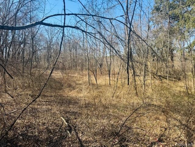 #6 photo, cramer Road, Poughkeepsie , NY 12603