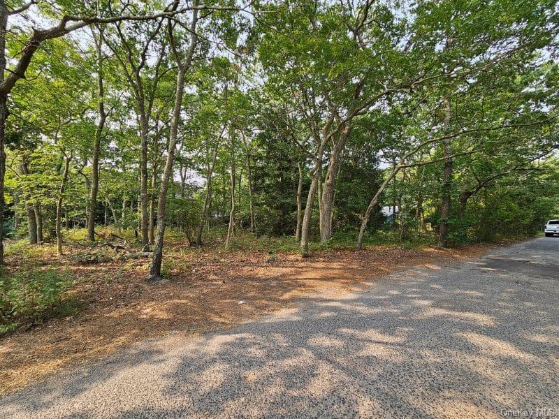 #13 photo, 51 Shore Road, सफ़ोक काउंटी Hampton Bays , NY 11946