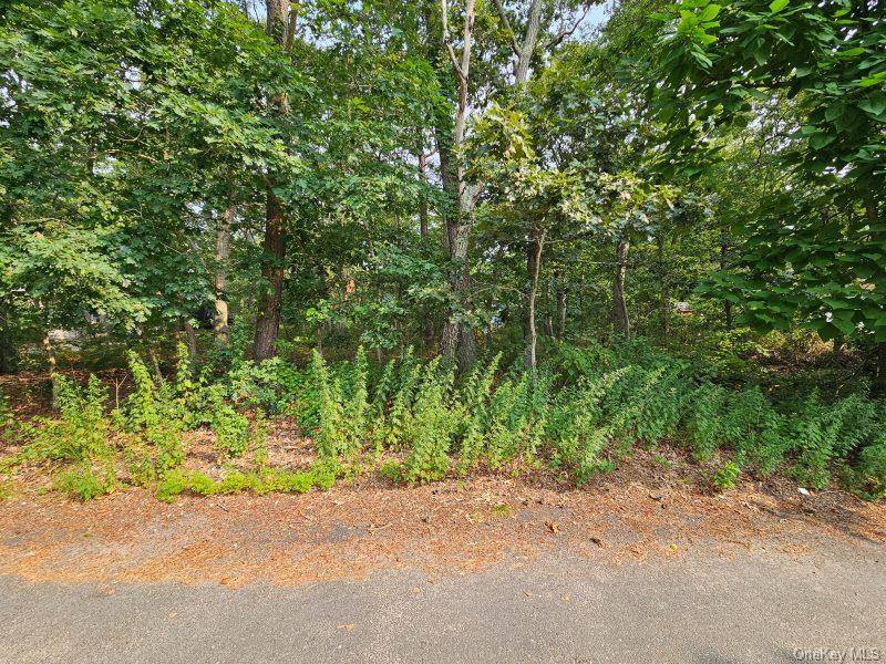 #14 photo, 51 Shore Road, सफ़ोक काउंटी Hampton Bays , NY 11946