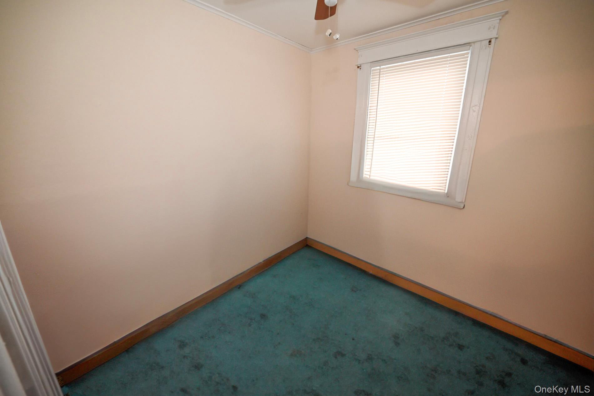 #13 photo, 6062 Flushing Avenue, クイーンズ区 Maspeth , NY 11378