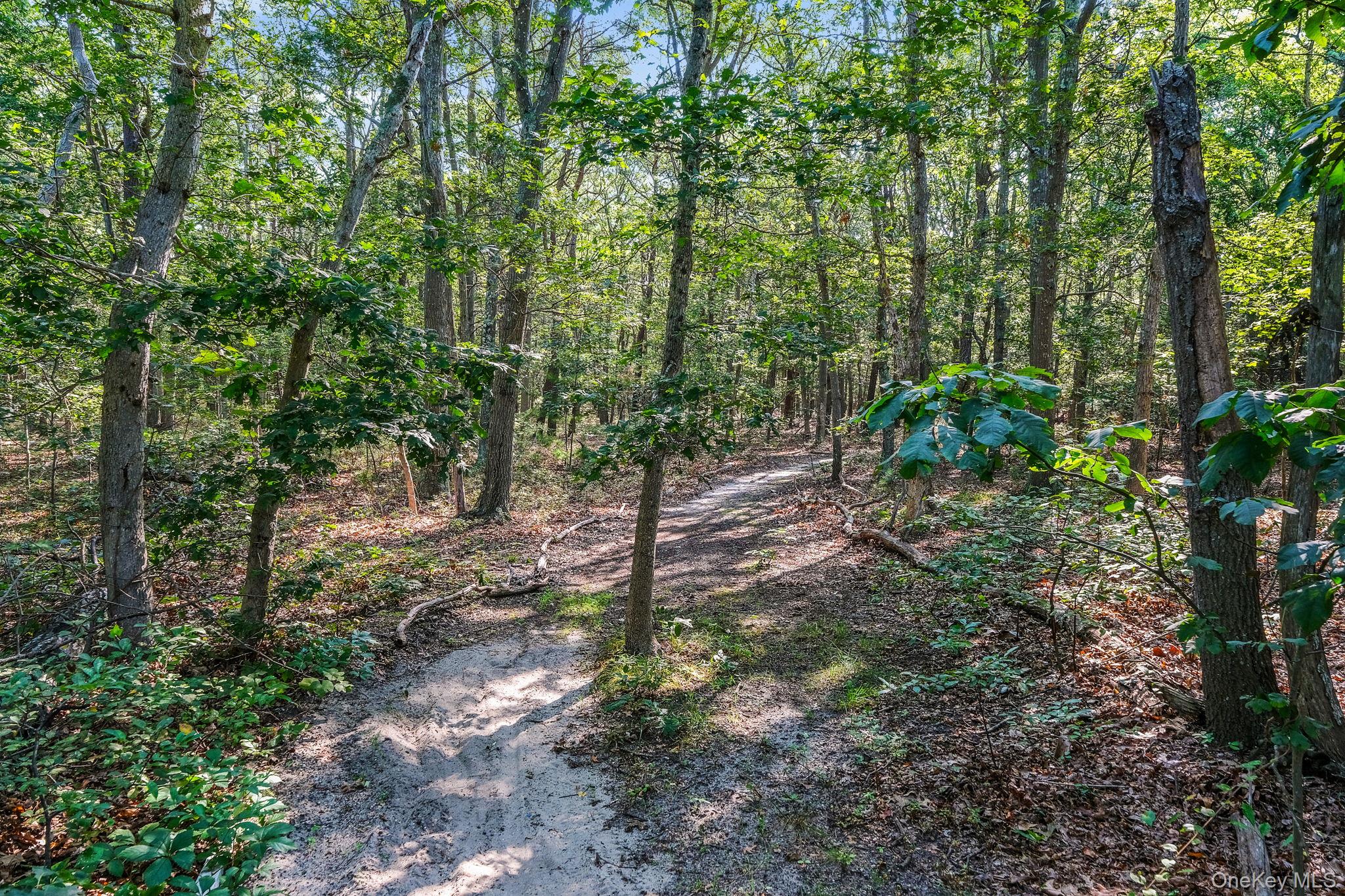 #8 photo, 200 Wading River Road, サフォーク郡 Manorville , NY 11949