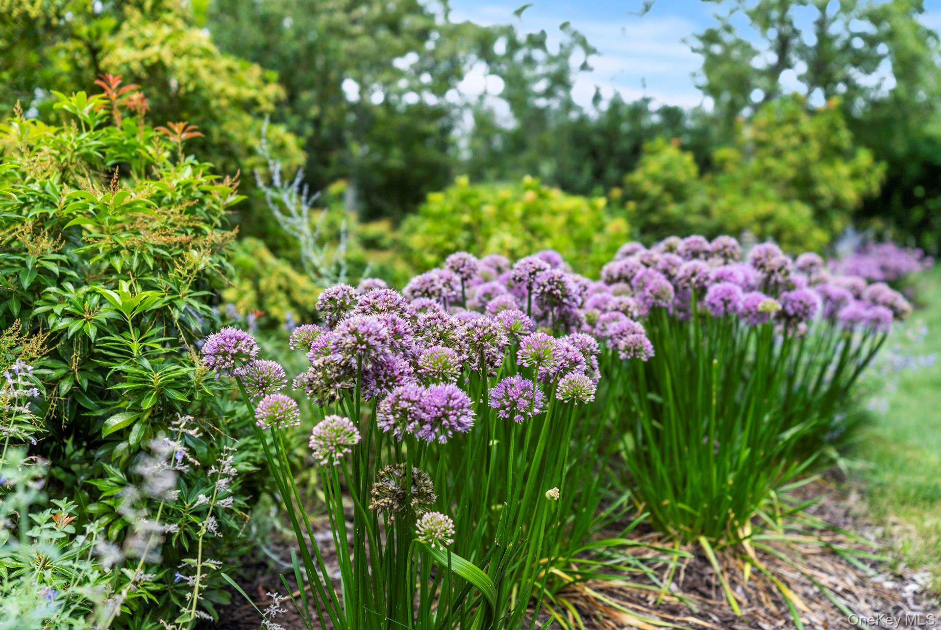 #3 photo, 30 Huckleberry Lane, サフォーク郡 East Hampton , NY 11937