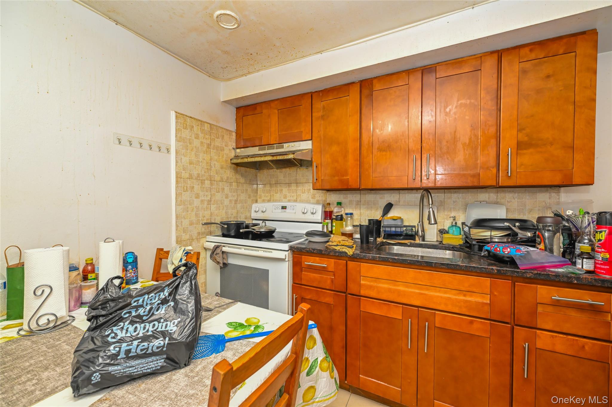 #19 photo, 44-11/13 66 Street, クイーンズ区 Woodside , NY 11377