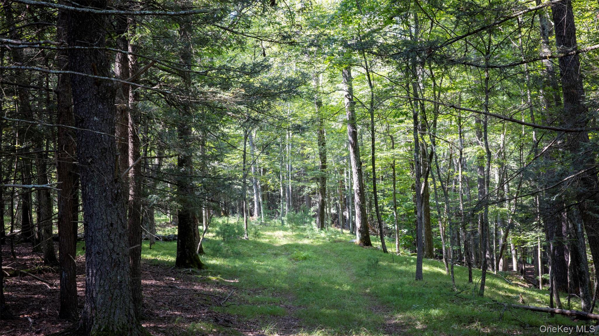 #10 photo, 327 Phillips Road, Saugerties , NY 12477