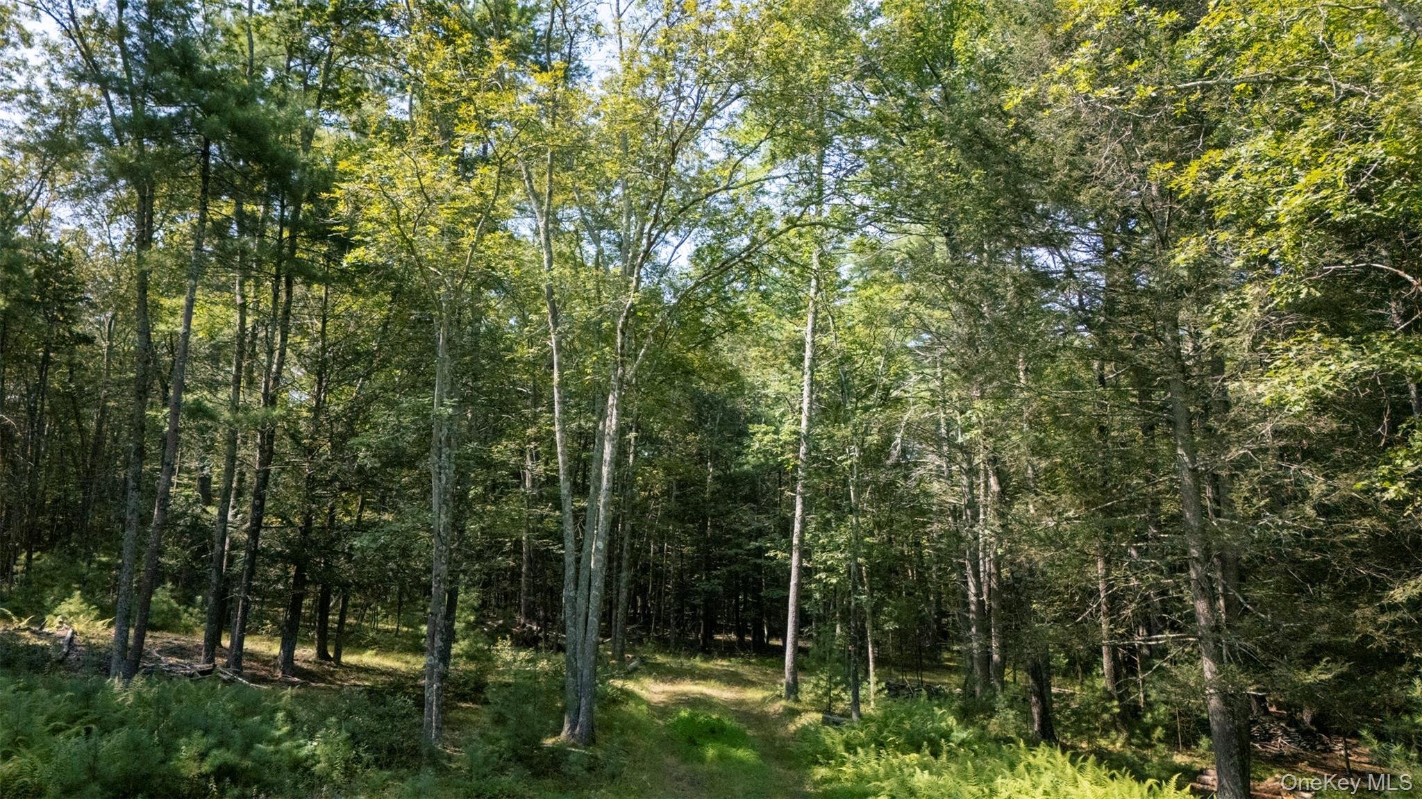 #12 photo, 327 Phillips Road, Saugerties , NY 12477