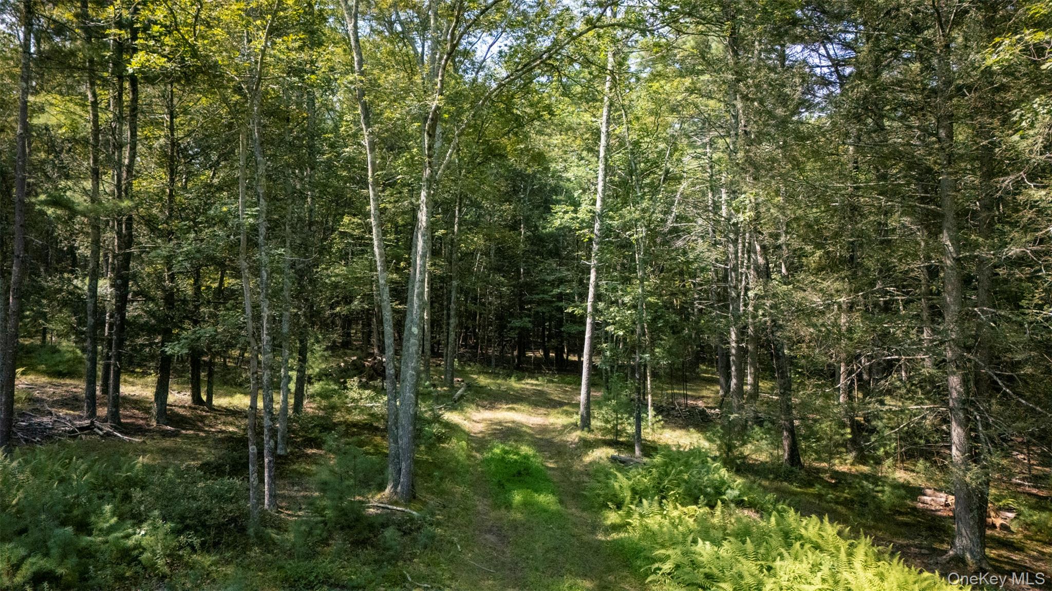 #13 photo, 327 Phillips Road, Saugerties , NY 12477