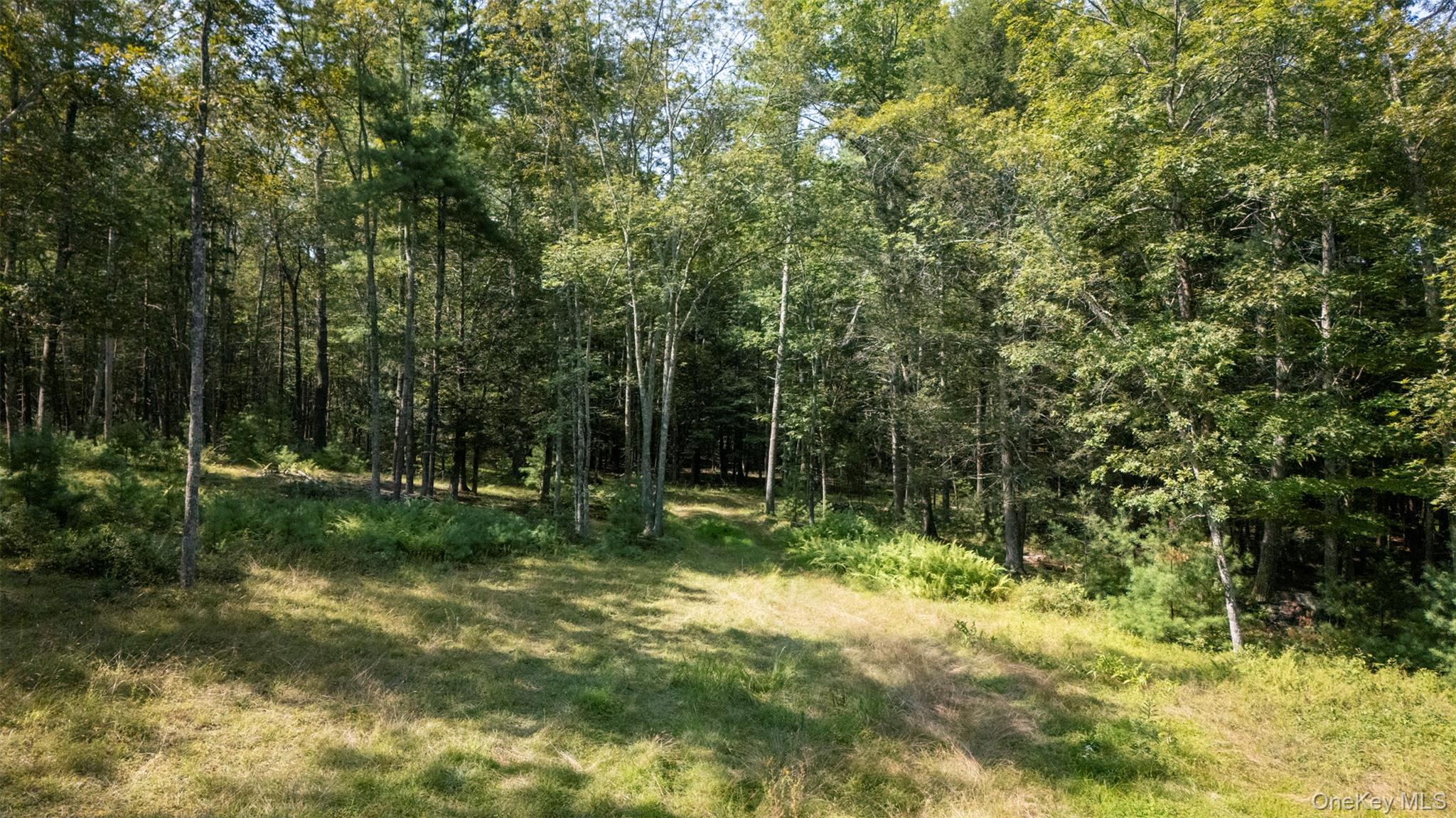 #14 photo, 327 Phillips Road, Saugerties , NY 12477