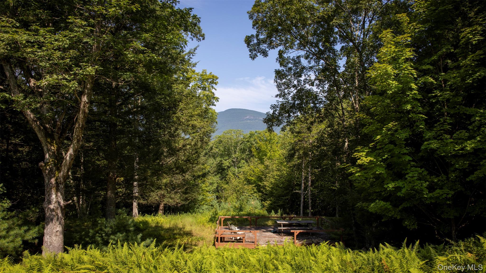 #16 photo, 327 Phillips Road, Saugerties , NY 12477