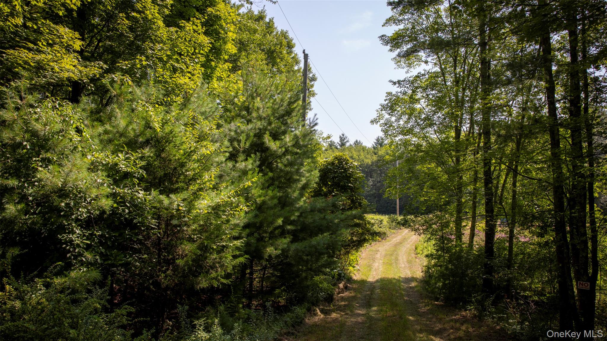 #4 photo, 327 Phillips Road, Saugerties , NY 12477