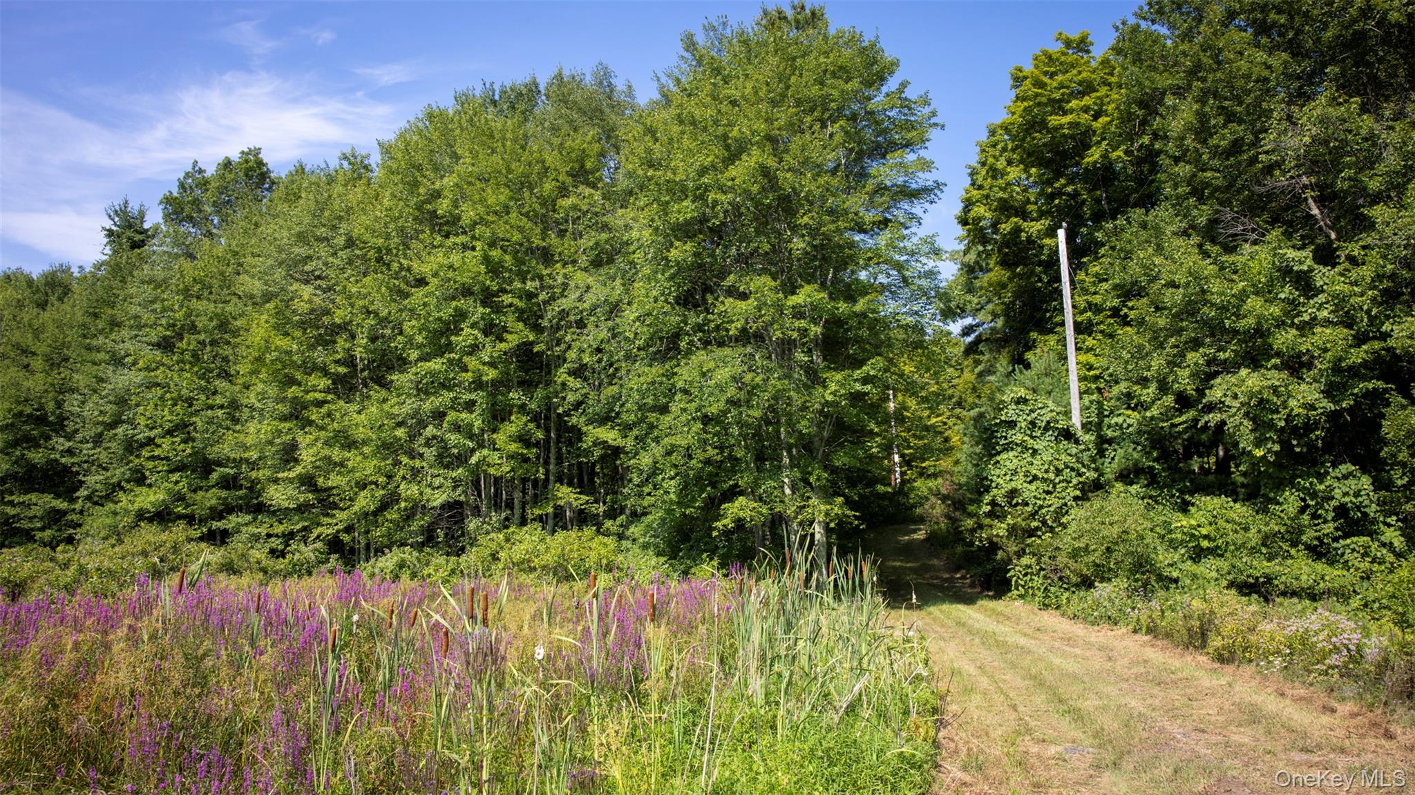 #5 photo, 327 Phillips Road, Saugerties , NY 12477