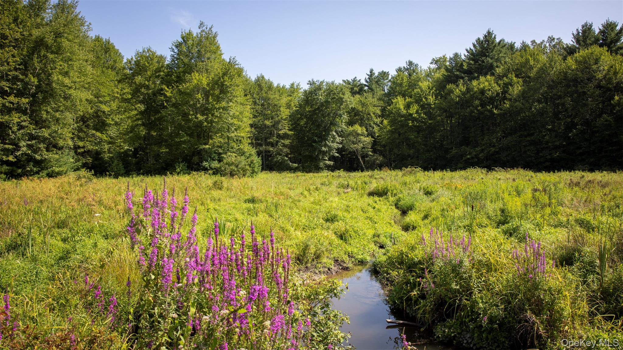 #6 photo, 327 Phillips Road, Saugerties , NY 12477