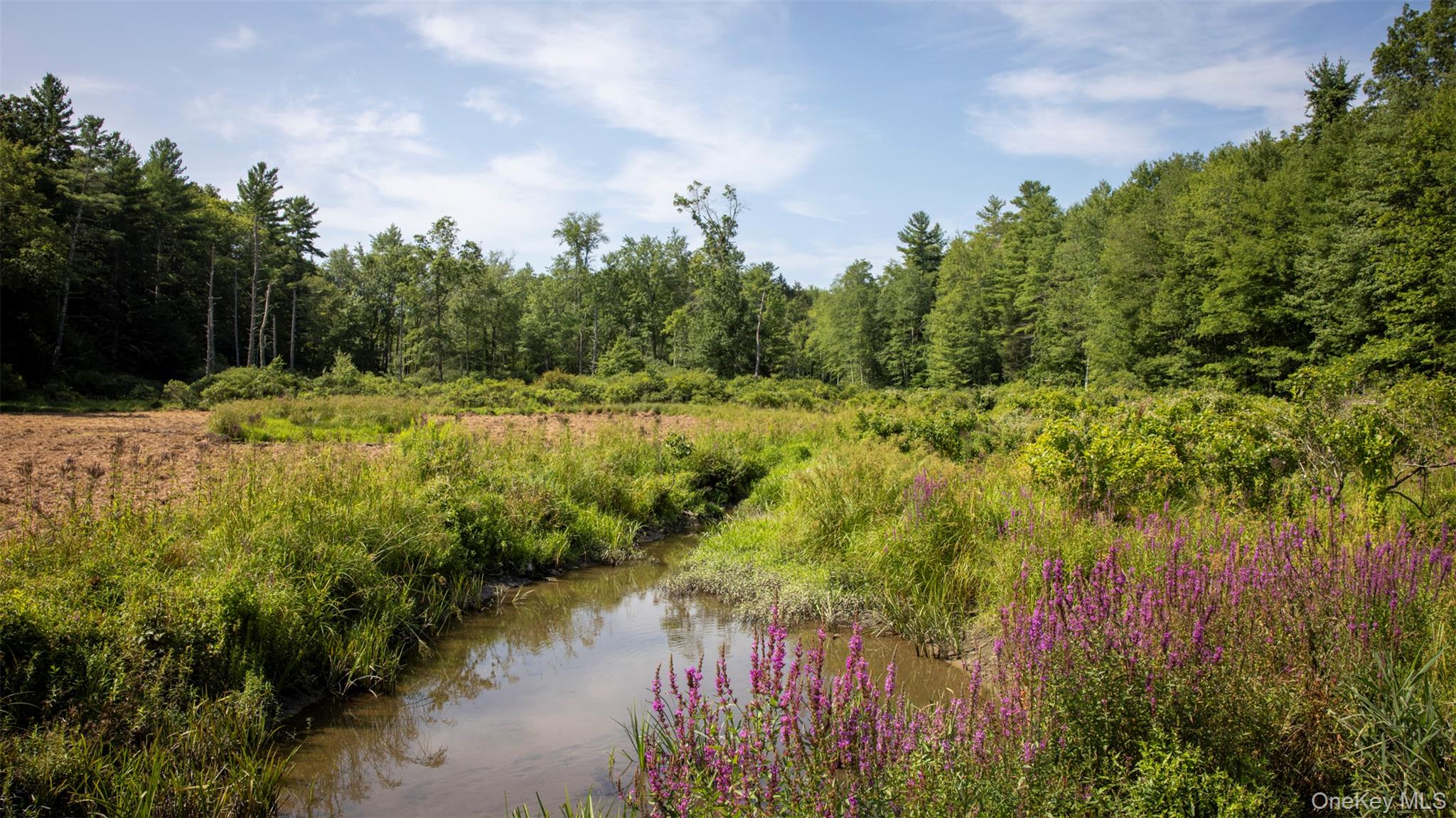 #7 photo, 327 Phillips Road, Saugerties , NY 12477