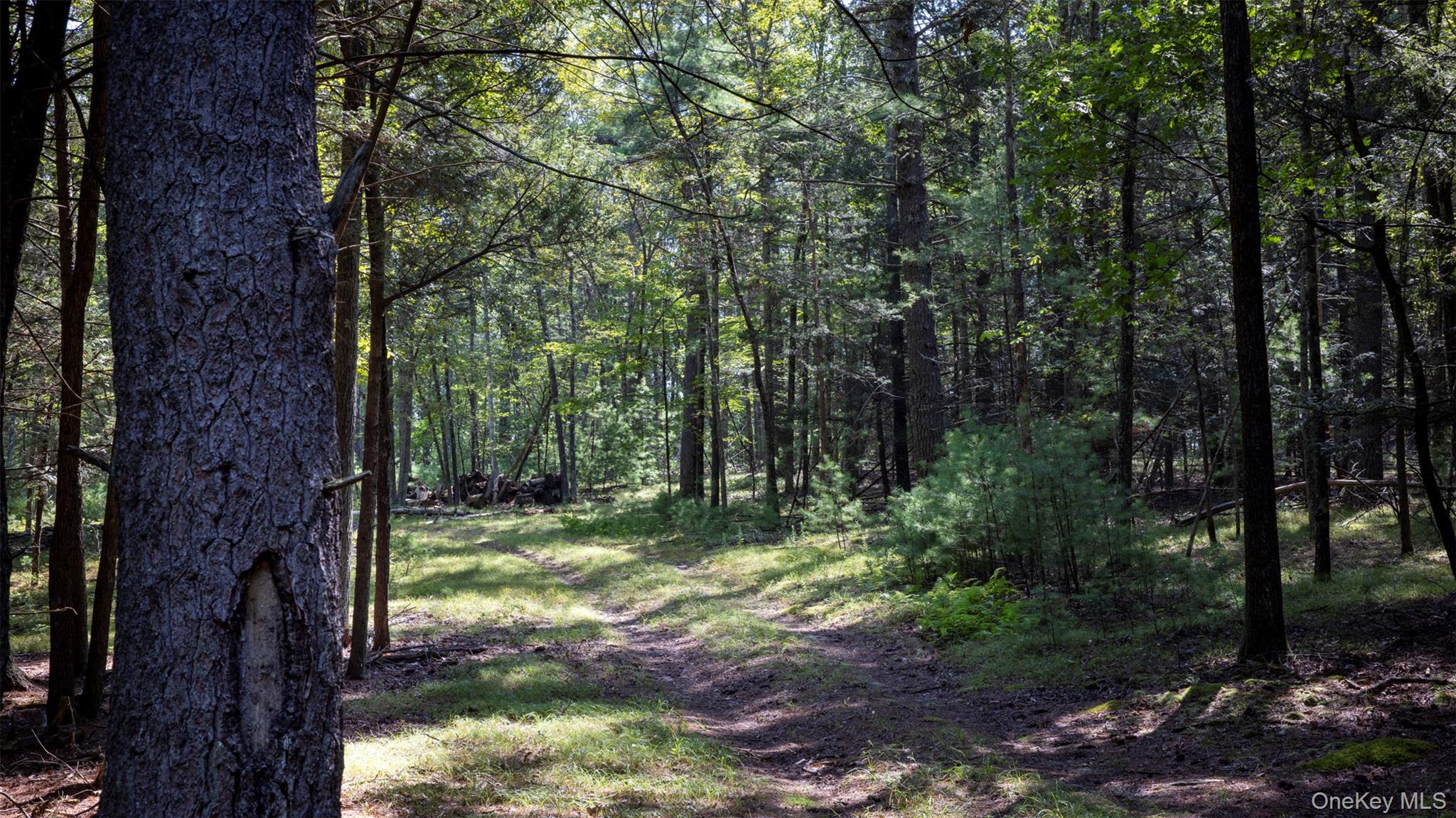 #9 photo, 327 Phillips Road, Saugerties , NY 12477