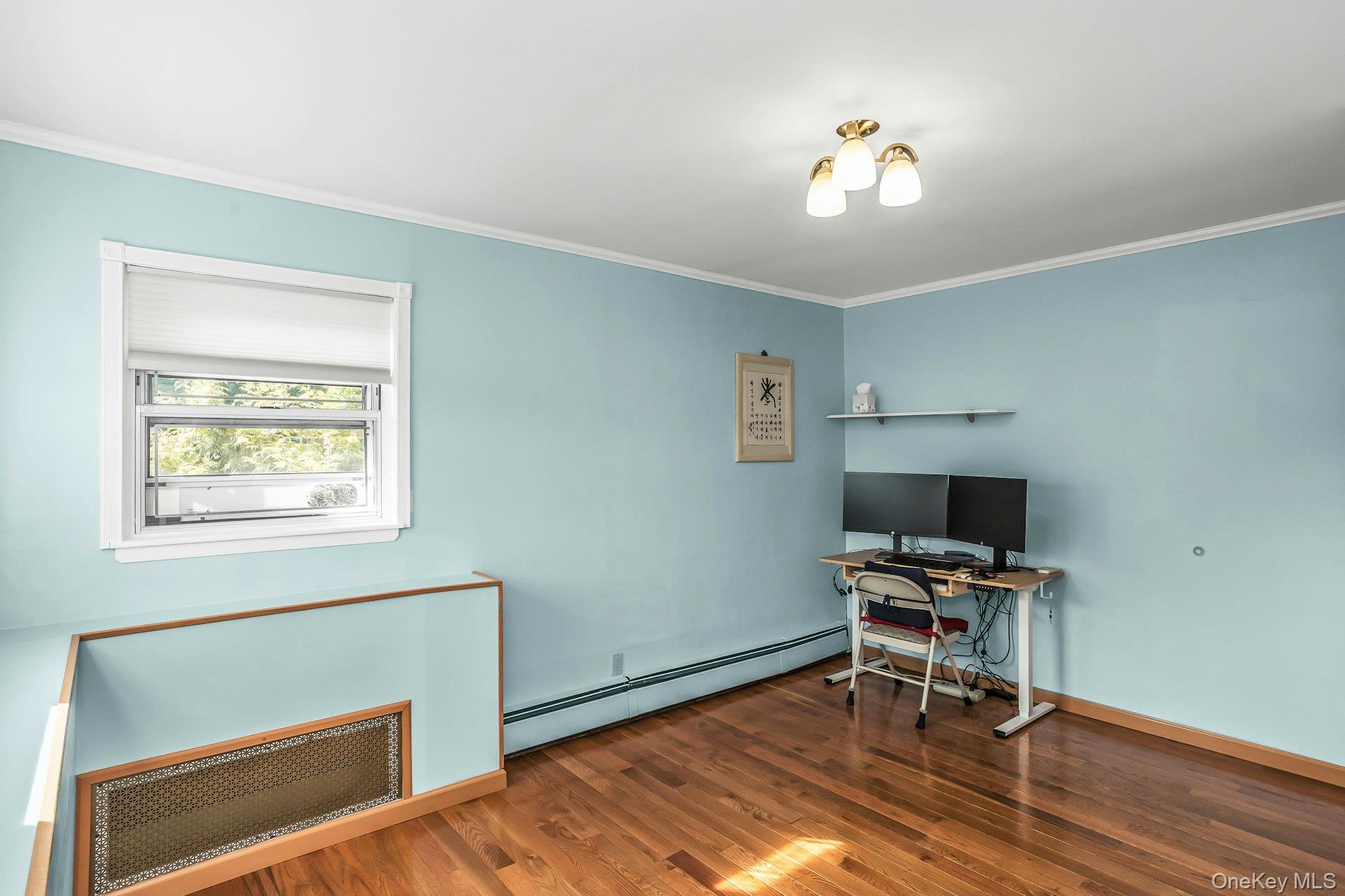 #19 photo, 53 Hightop Lane, ナッソー郡 Jericho , NY 11753