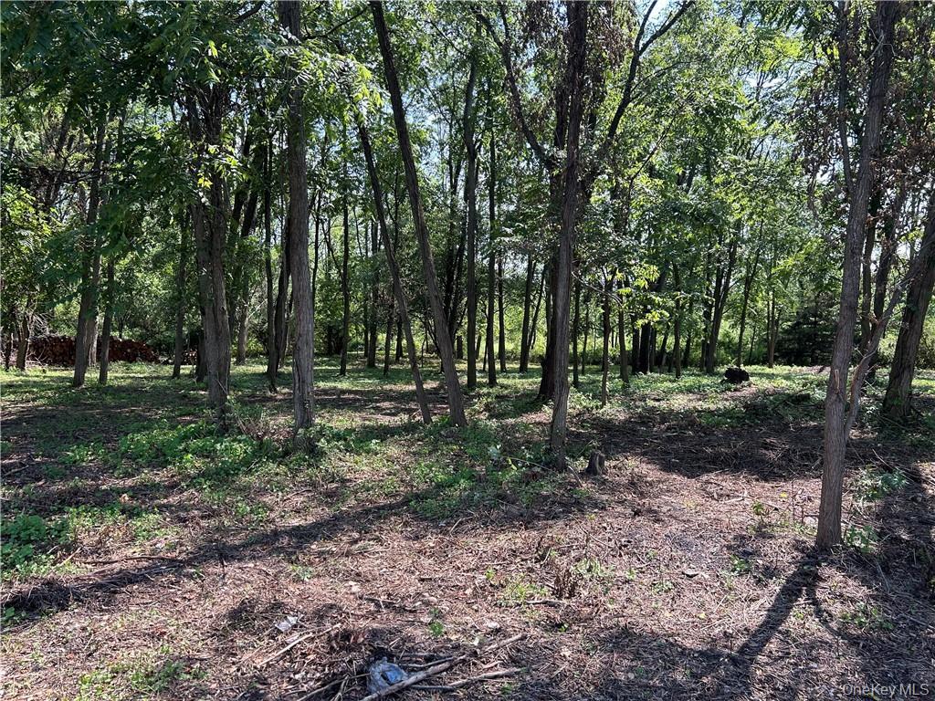 #6 photo, 855 NY-376, Hopewell Junction , NY 12533