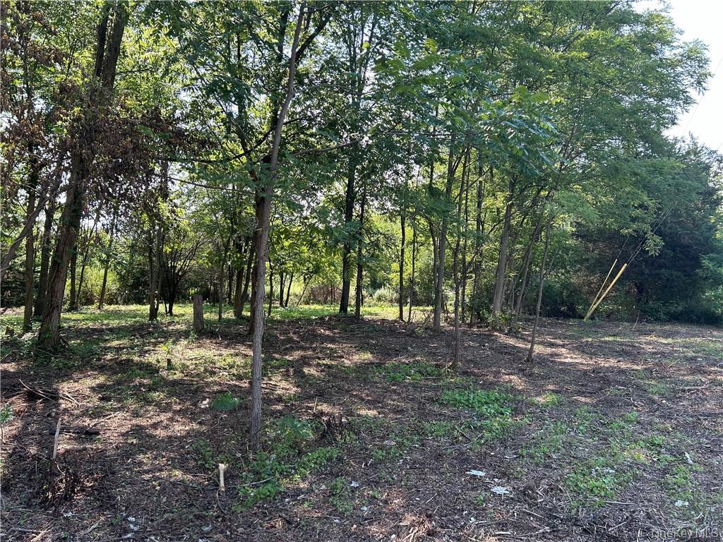 #7 photo, 855 NY-376, Hopewell Junction , NY 12533