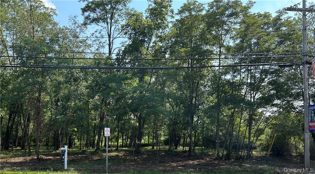 #8 photo, 855 NY-376, Hopewell Junction , NY 12533