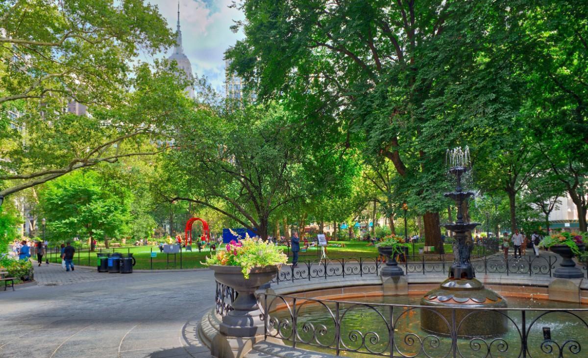 #12 photo, 66 Madison Avenue, マンハッタン NoMad , NY 10016