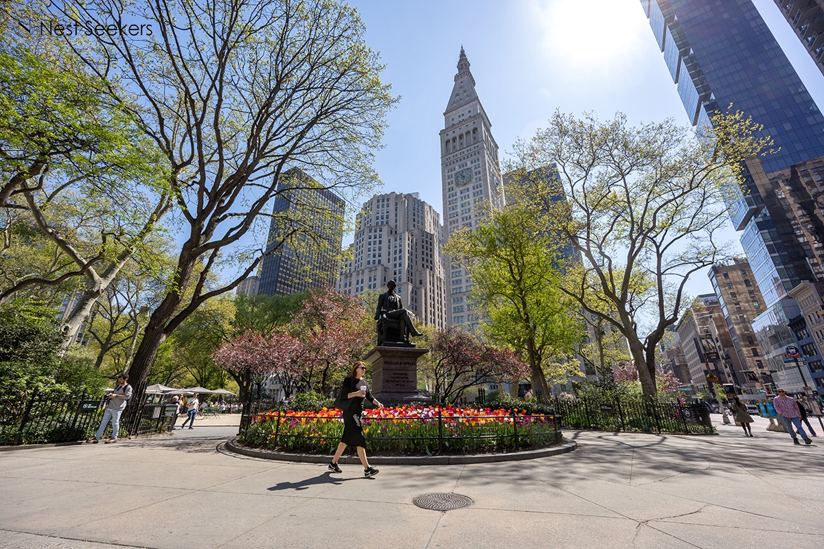 #15 photo, 66 Madison Avenue, マンハッタン NoMad , NY 10016