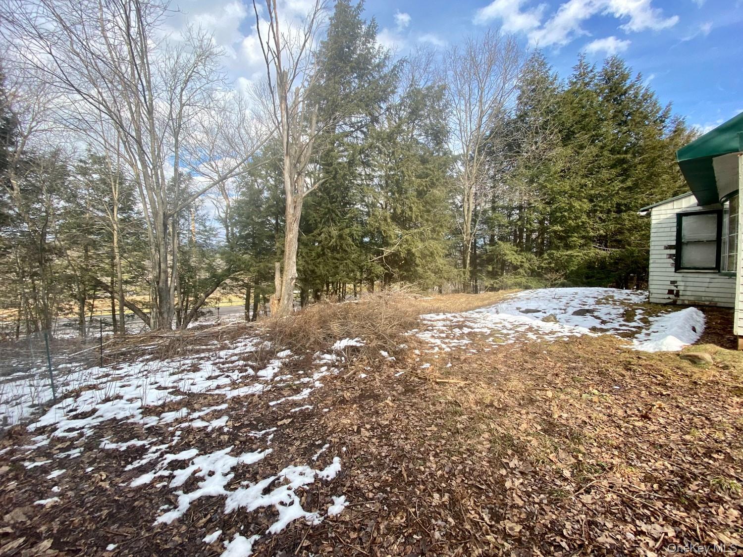 #16 photo, 61 South Street, Windham , NY 12496