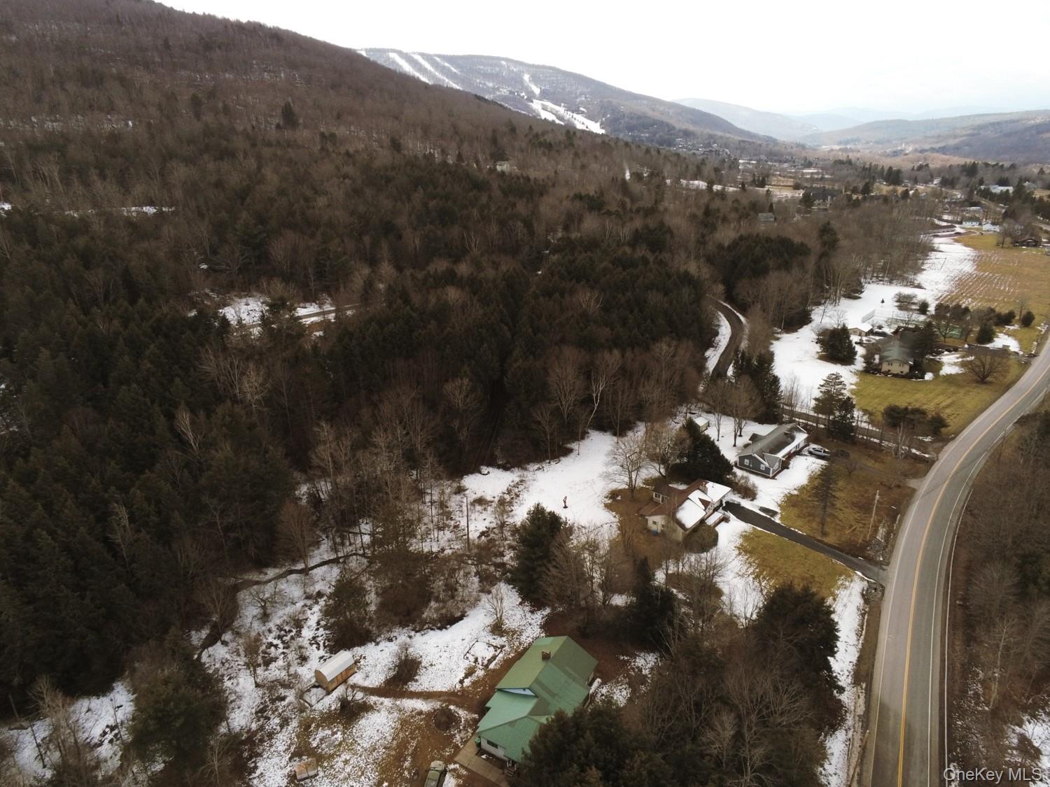 #3 photo, 61 South Street, Windham , NY 12496