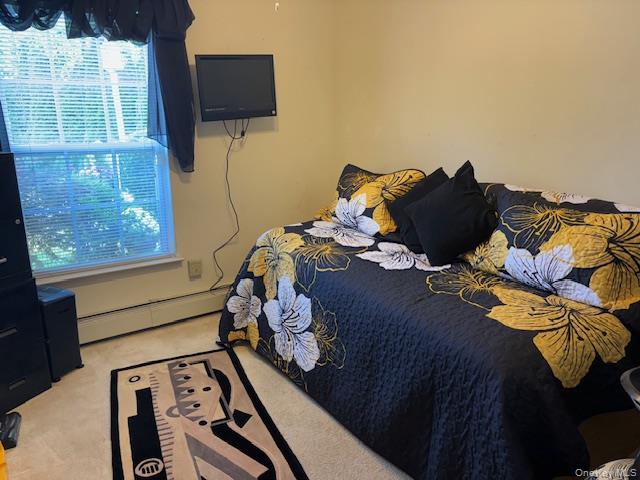 #12 photo, 11 Segal Avenue, サフォーク郡 Riverhead , NY 11901