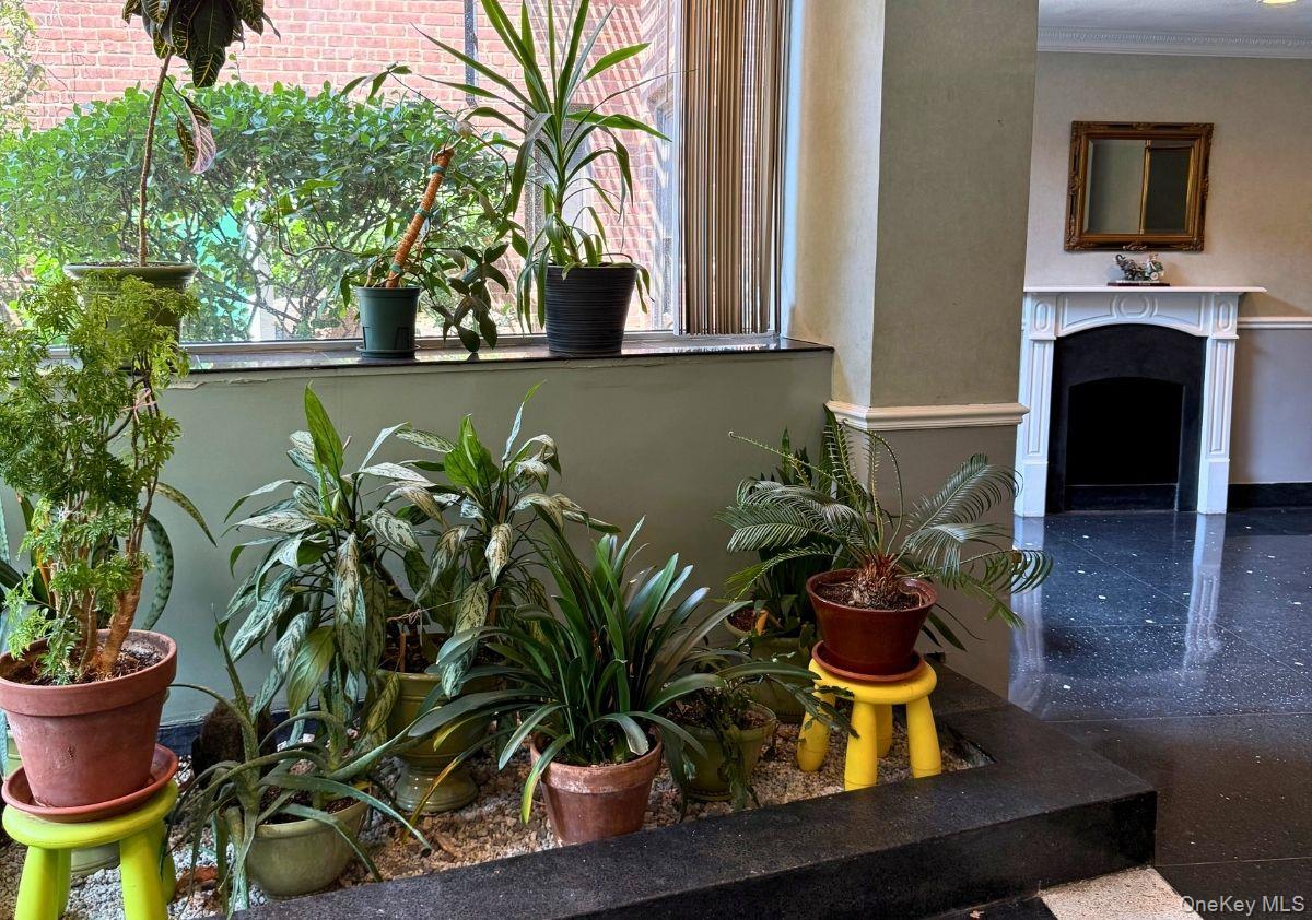 #5 photo, 63-95 Austin Street, クイーンズ区 Rego Park , NY 11374