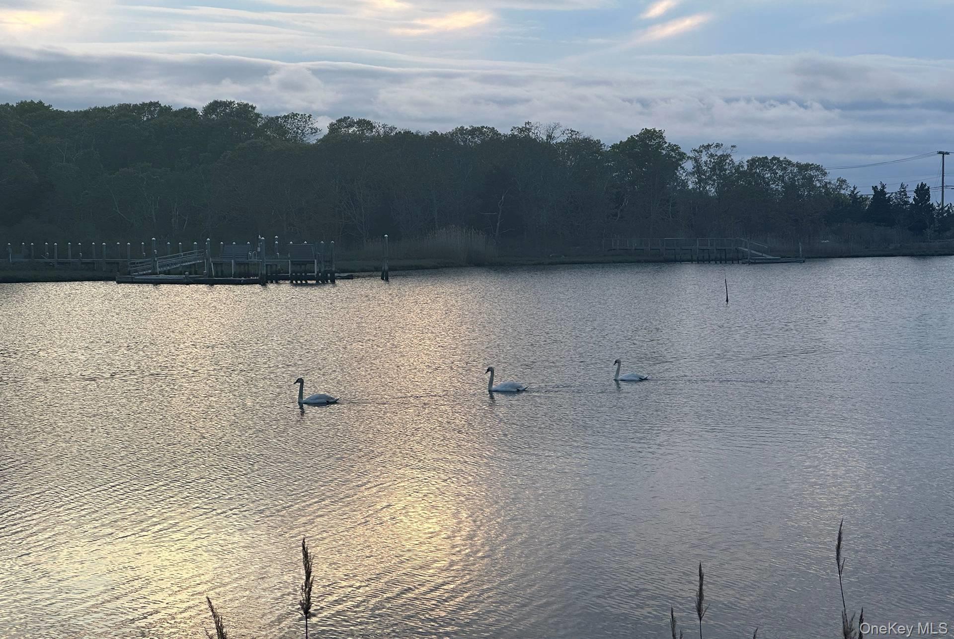 #16 photo, 23 Marjorie Lane, サフォーク郡 Sag Harbor , NY 11963