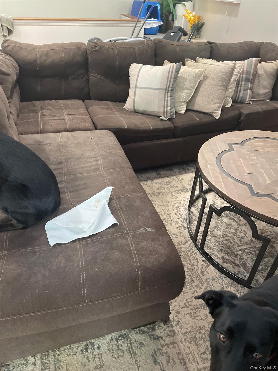 #2 photo, 21 Harvard Square Road, Woodridge , NY 12789