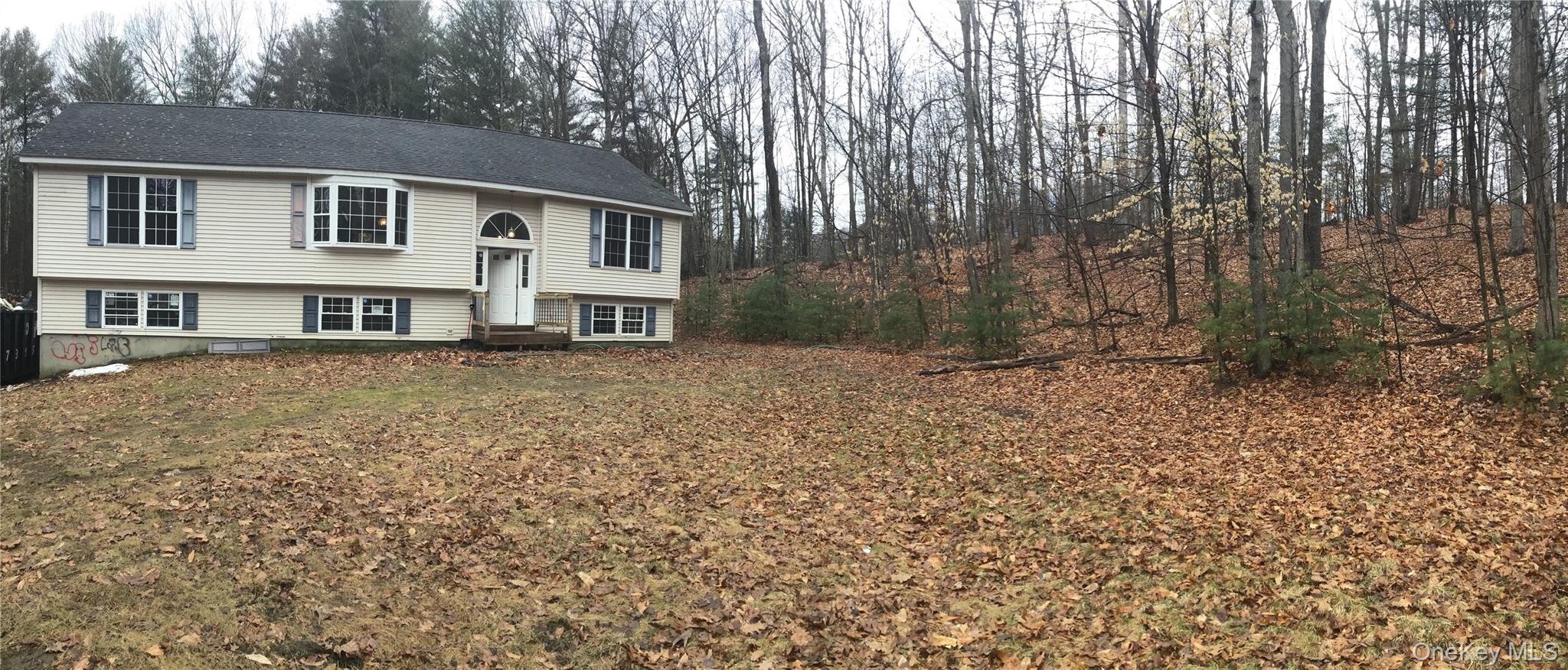 #1 photo, 272 Echo Road, Bloomingburg , NY 12721