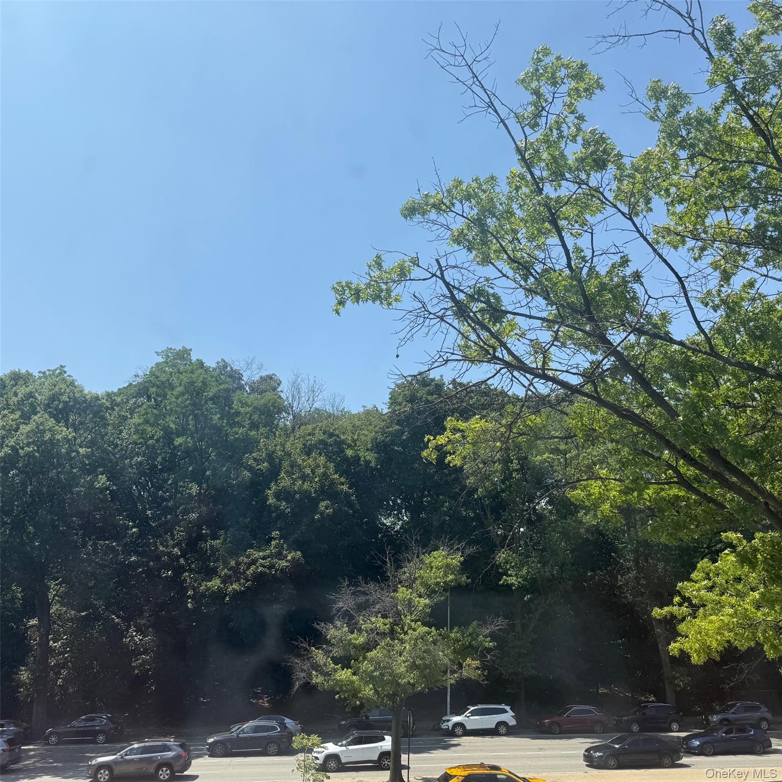 #10 photo, 83-55 Woodhaven Boulevard, Woodhaven , NY 11421