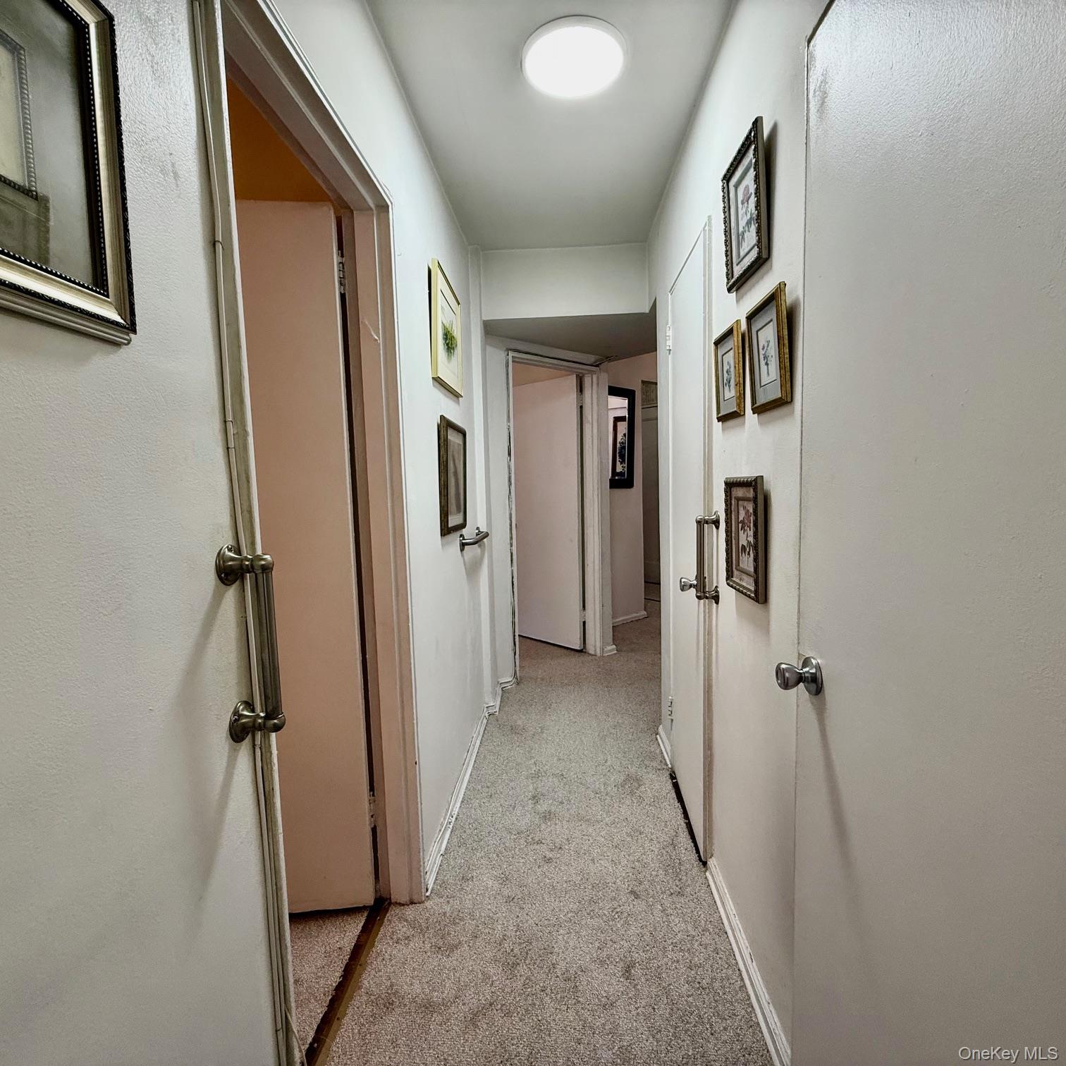 #8 photo, 83-55 Woodhaven Boulevard, Woodhaven , NY 11421