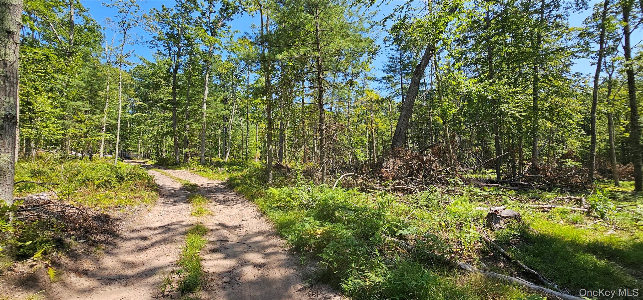 #10 photo, Lot 8.1 Eckes Road, Narrowsburg , NY 12764