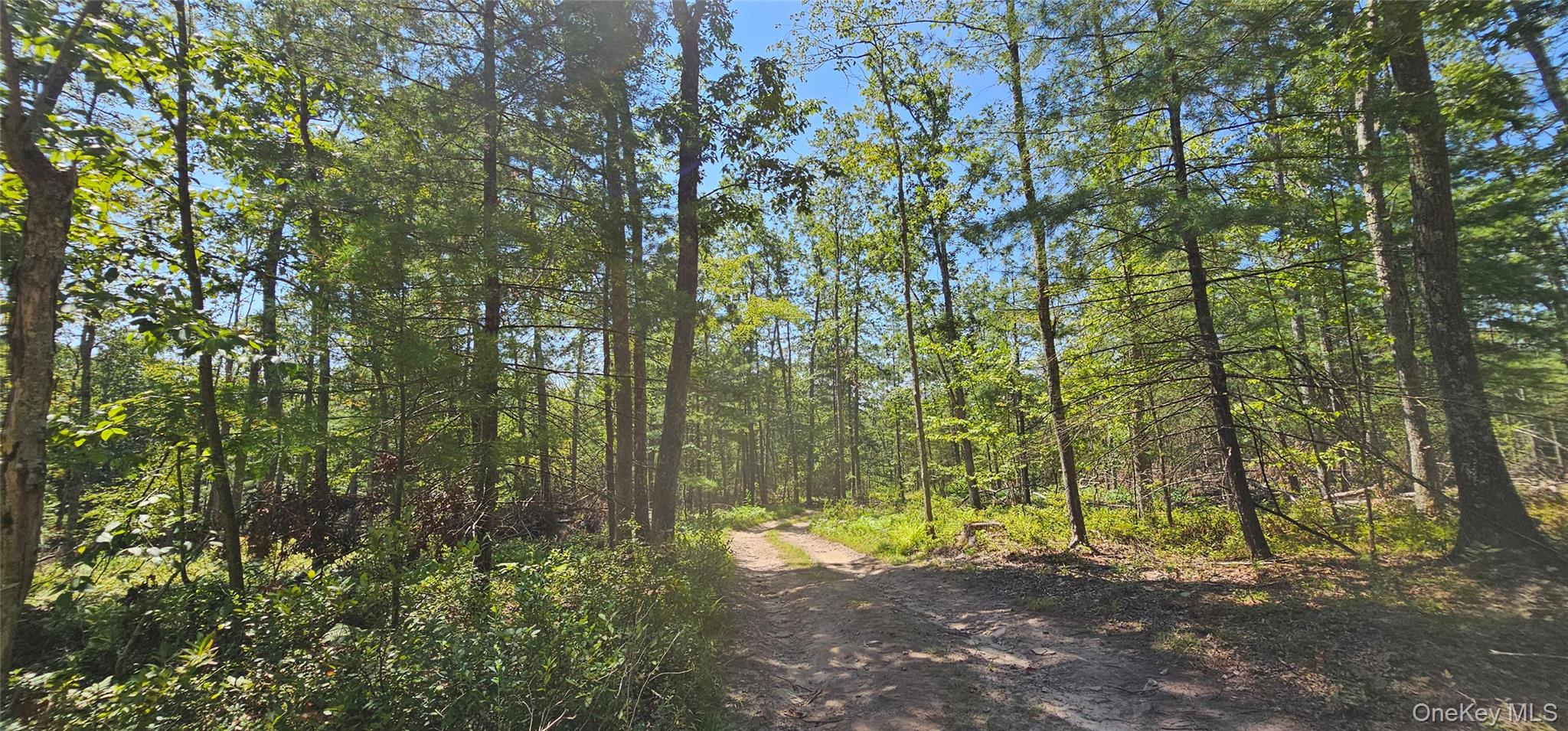 #13 photo, Lot 8.1 Eckes Road, Narrowsburg , NY 12764