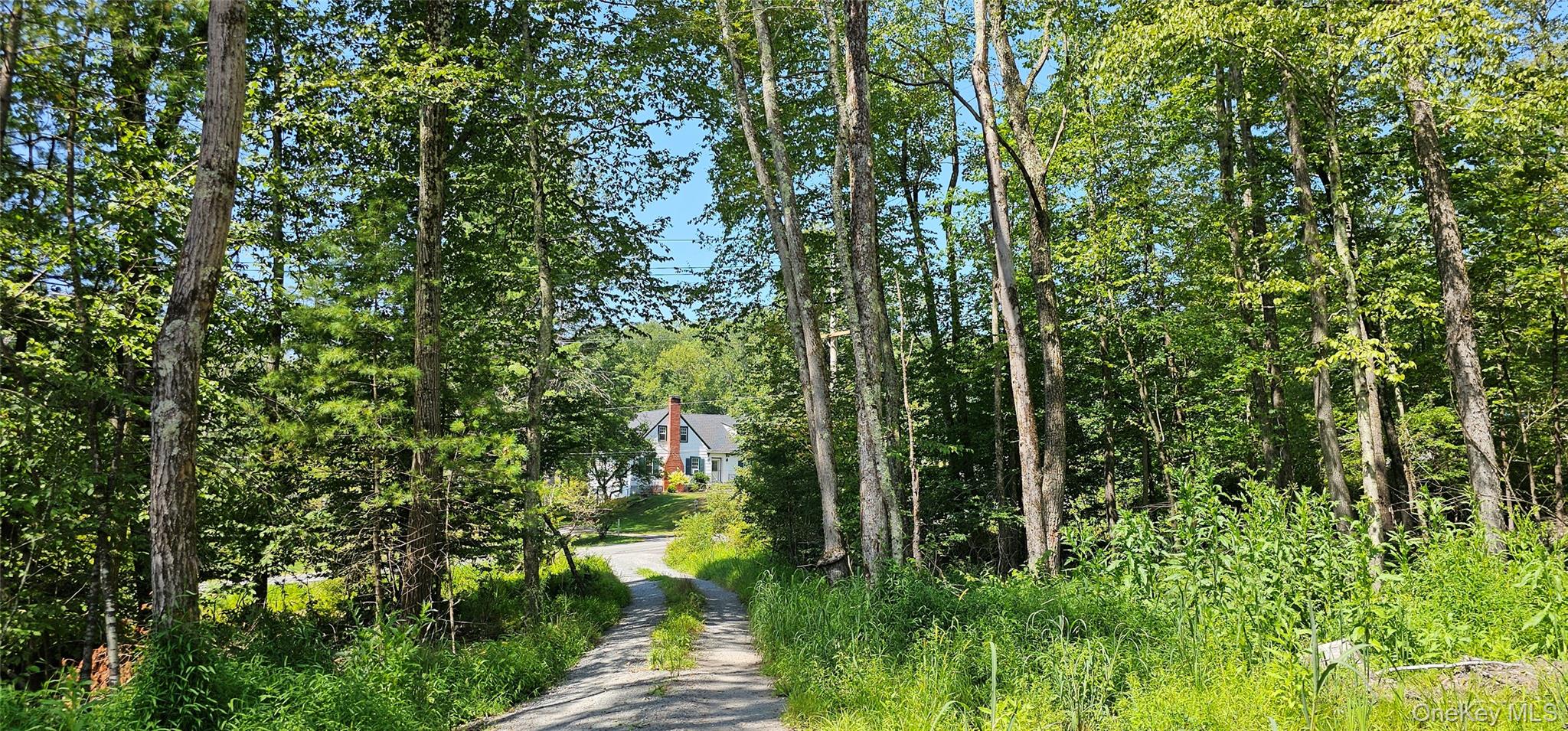 #16 photo, Lot 8.1 Eckes Road, Narrowsburg , NY 12764