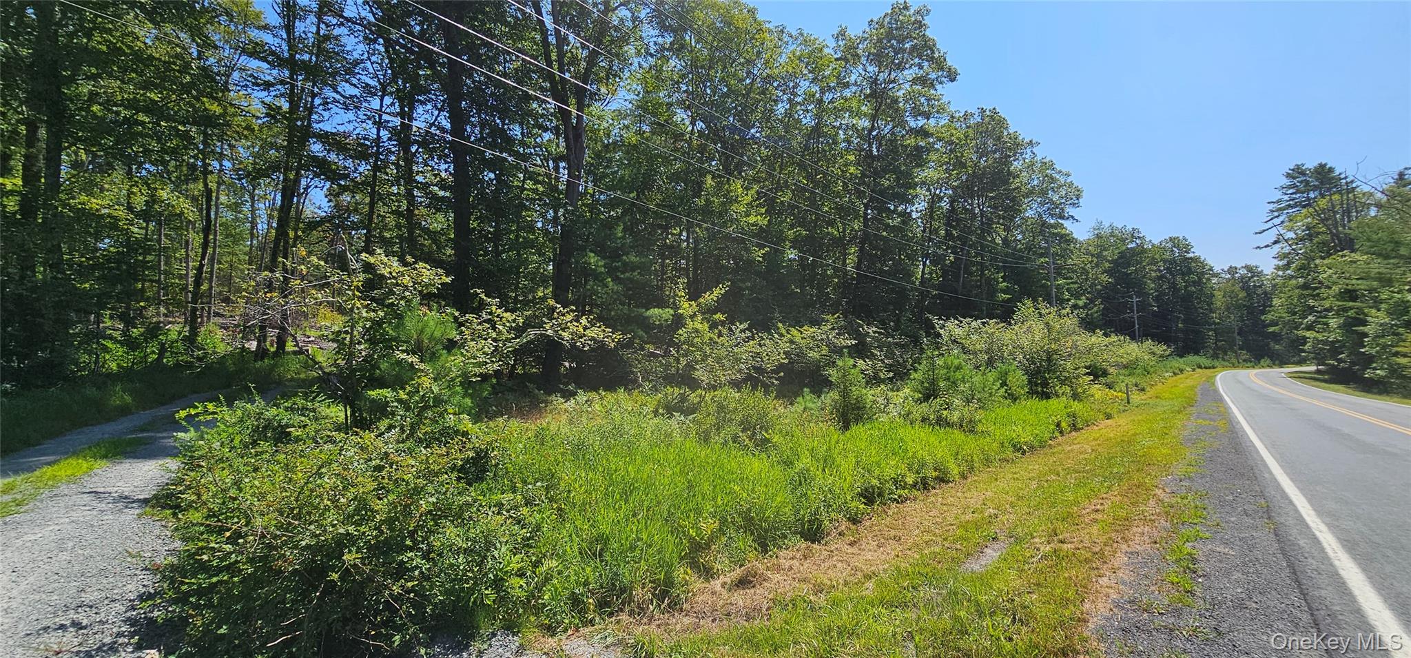 #17 photo, Lot 8.1 Eckes Road, Narrowsburg , NY 12764
